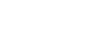 Module Group